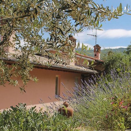 Tuscany Roses Arezzo Bagian luar foto